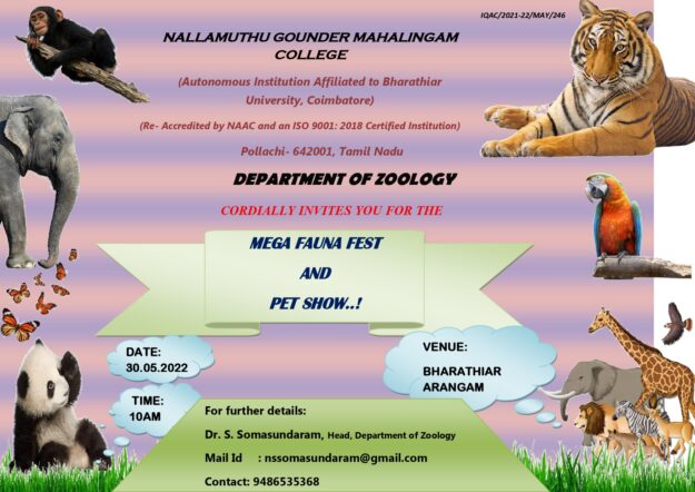 PET SHOW