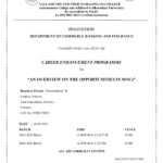 CAREER ENHANCEMENT PROGRAMME  On   “AN OVERVIEW ON THE OPPORTUNITIES IN MNCs”